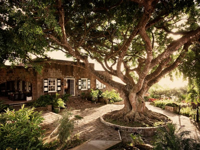 Montpelier Plantation , Nevis 