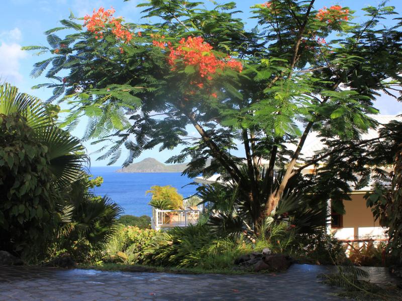 Villa Coccoloba , Nevis 