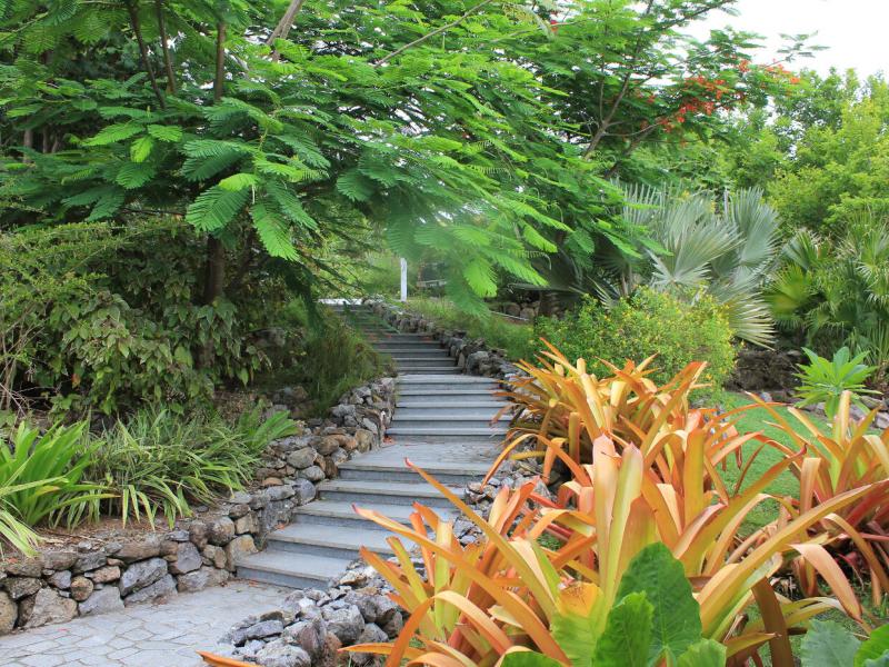 Villa Coccoloba , Nevis 