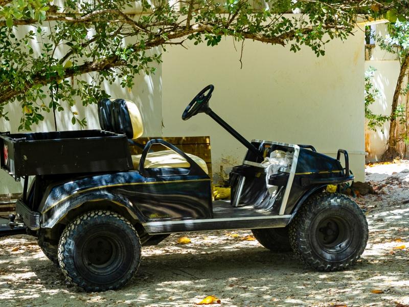 Serendipity - Palm Island , Palm Island 