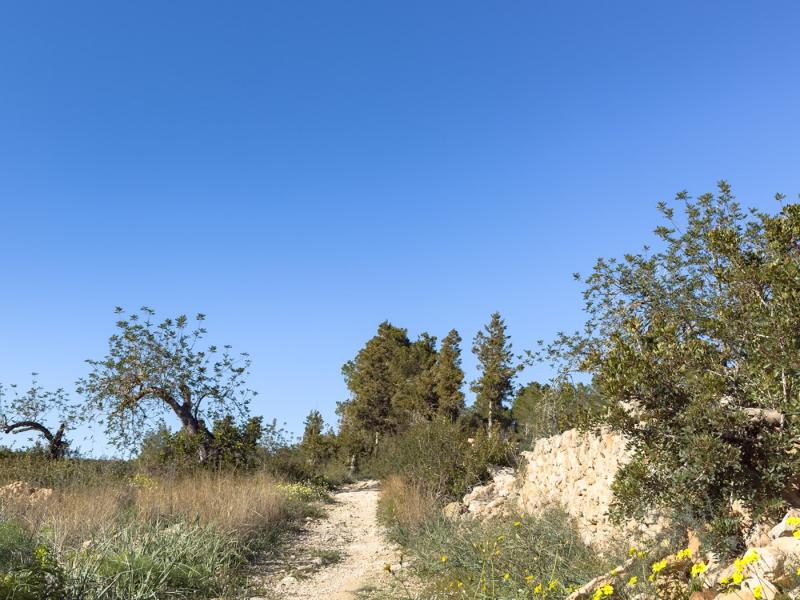 Can Solis , Ibiza 