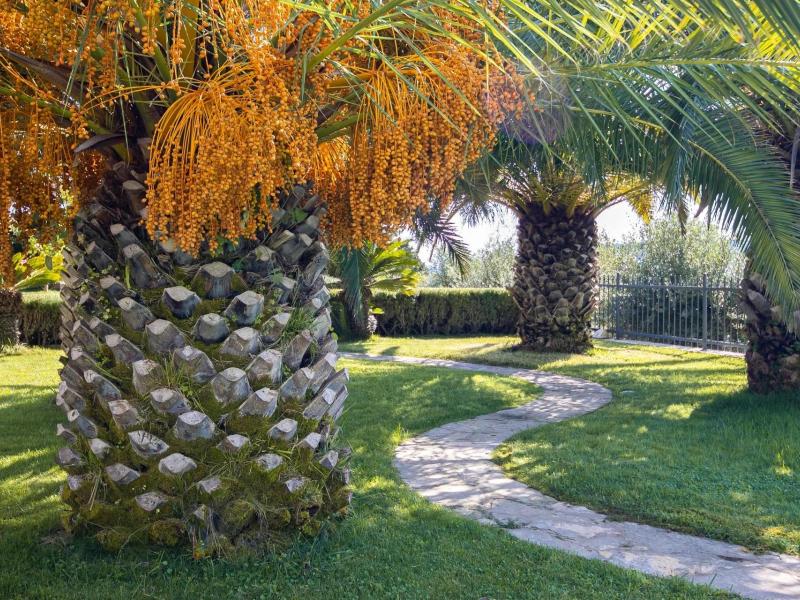 Villa Golden Hour , 