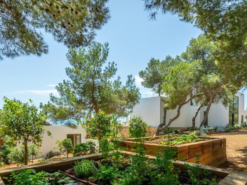 Can Olivera , Ibiza 