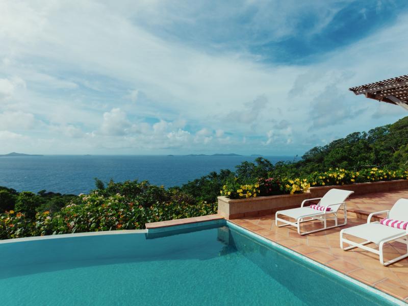 Helianthus , Mount Pleasant 