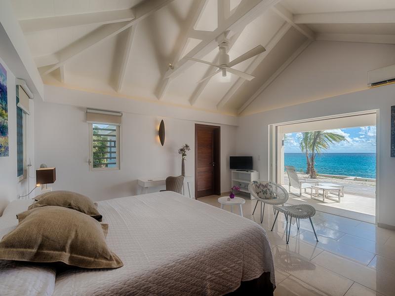 Turtle Nest , Terres Basses 