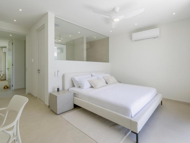 Monkey Ridge , St James , West Coast Barbados 