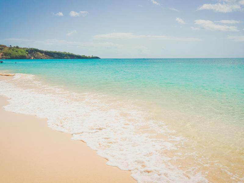 473 Grenada Boutique Resort , St Georges 