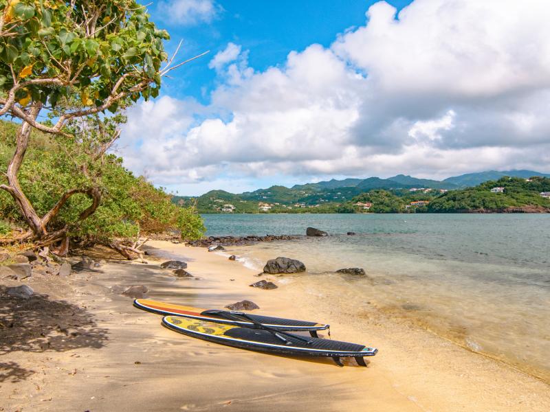 473 Grenada Boutique Resort , St Georges 