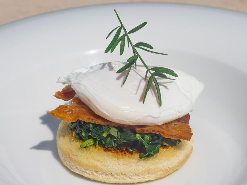 Karma Bay , Montego Bay 