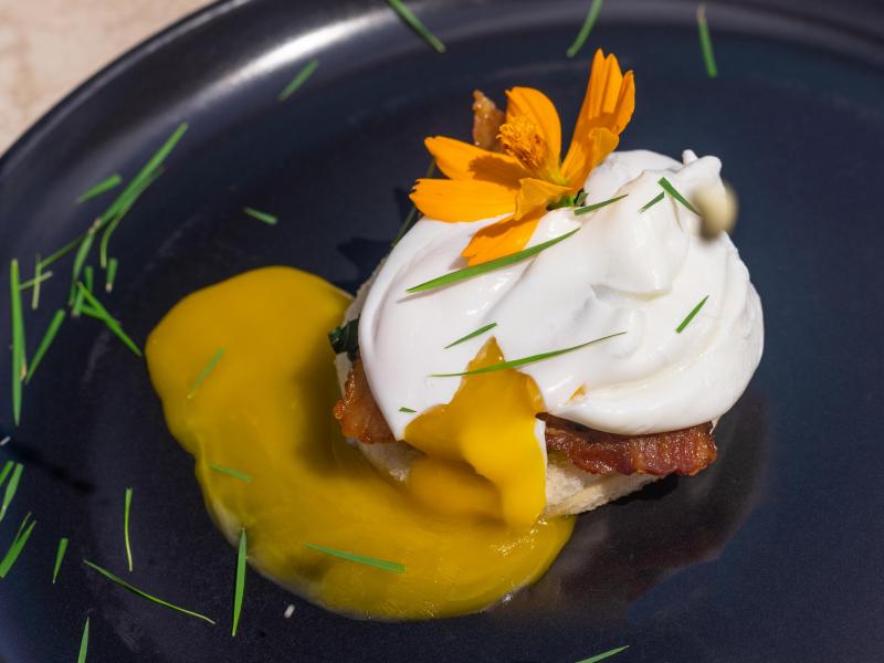 Karma Bay , Montego Bay 