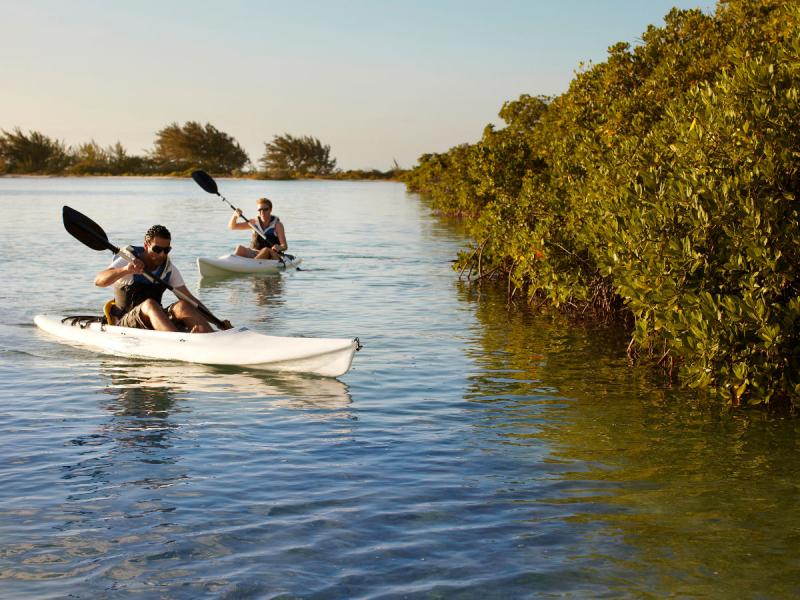 Parrot Cay and COMO Shambhala Retreat , Parrot Cay 