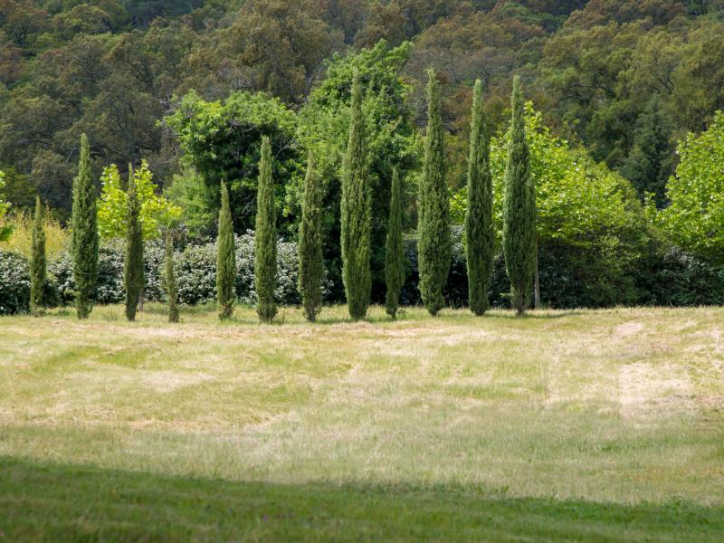 Provence by the Sea , Cote D'Azur , St Tropez 