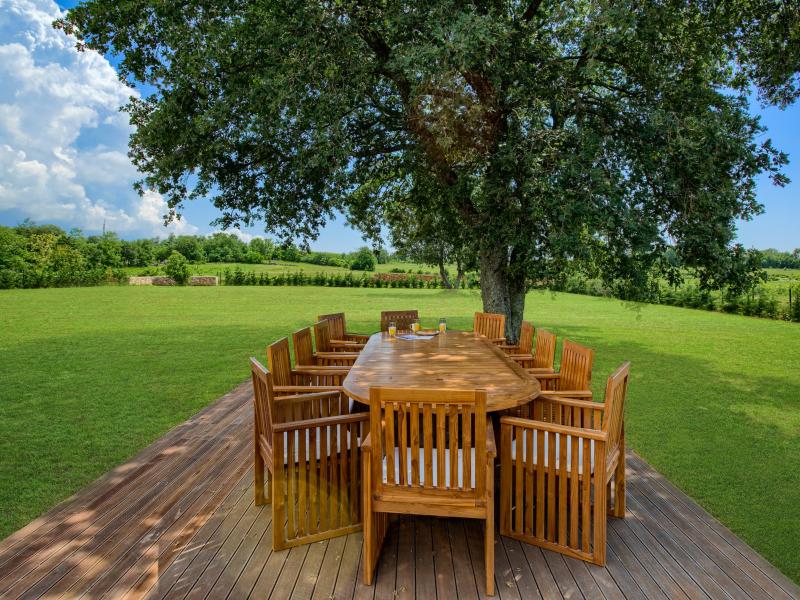 Yellow Tree villa Istria , Istria 