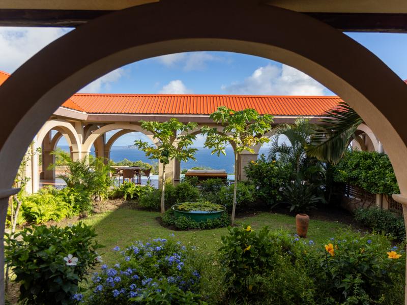 Helianthus , Mount Pleasant 